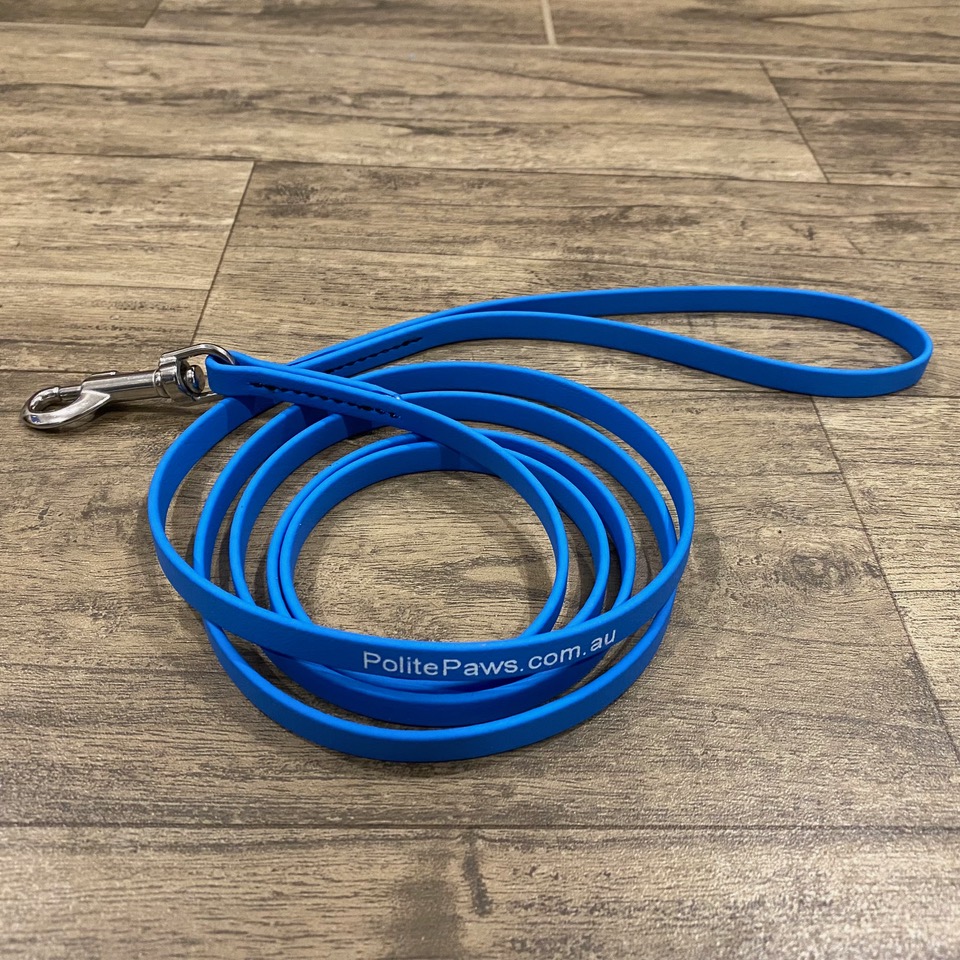 6ft Blue Biothane Training Lead - Small Stainless Steel Snap